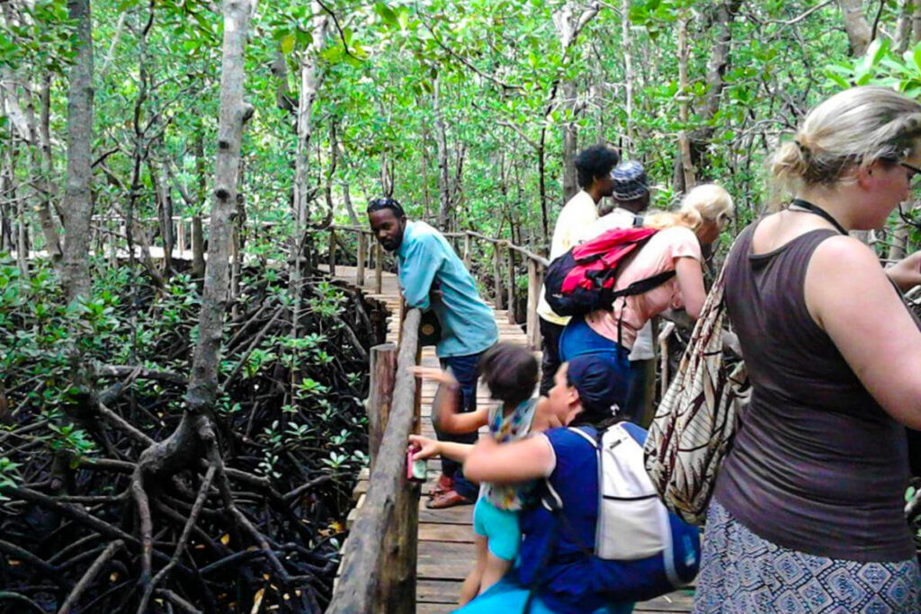 Jozani Forest Tour 06