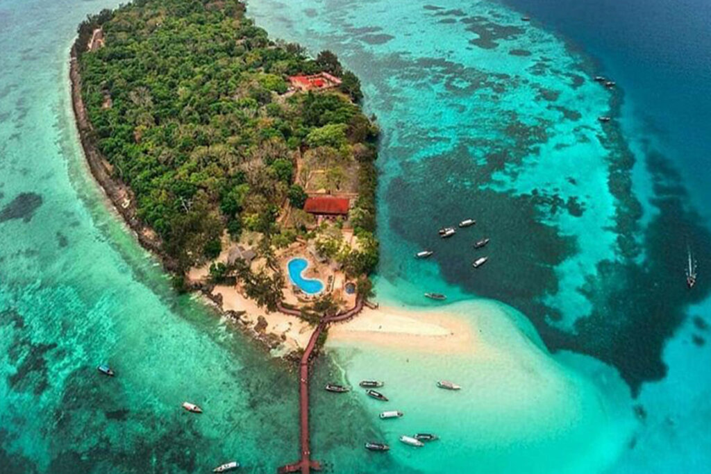 7 Best Zanzibar Tours to Book in 2025/2026 36 Prison Island Boat Trip