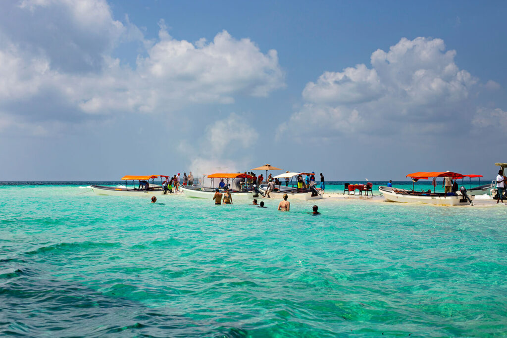 7 Best Zanzibar Tours to Book in 2025/2026 24 Safari Blue Experience