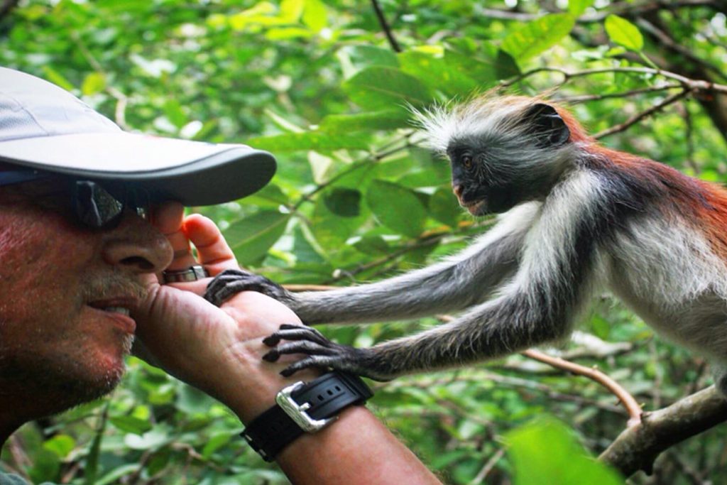 Updated Jozani Forest Tour 01 min