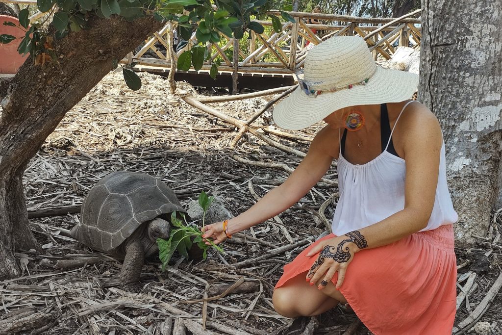 prison island tour zanzibar