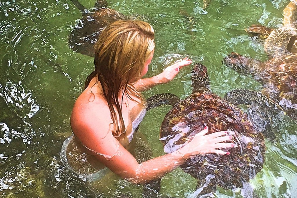 Holiday to Zanzibar from Qatar: Complete Travel Guide 20 Updated Swimming With Turtles in Aquarium 07 min