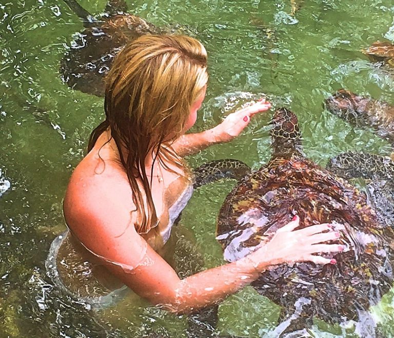 Updated Swimming With Turtles in Aquarium 07 min