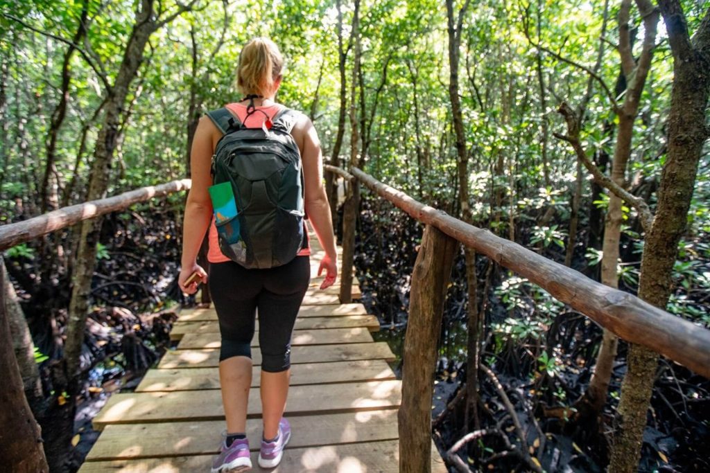 Zanzibar From USA: Flights, Visas, Costs & Travel Guide 16 Exploring Jozani Forest Spice Farms Stone Town City