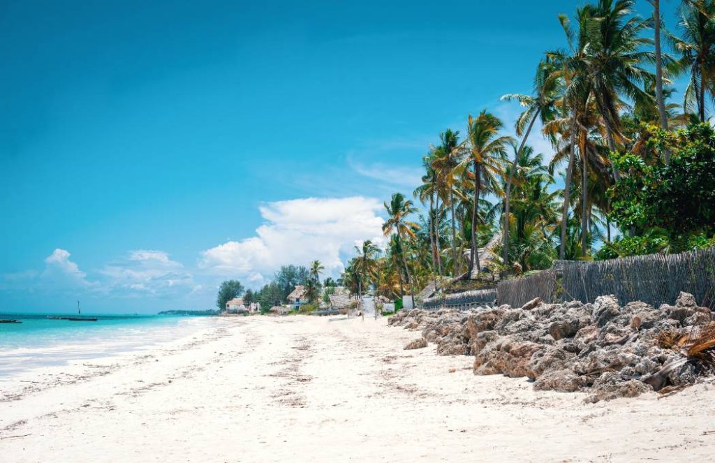 Plaza Paje Beach shutterstock.com Ajan Alen