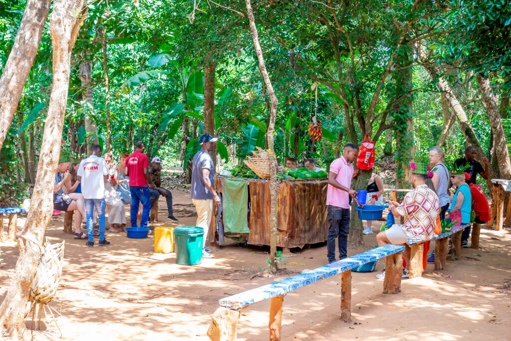 7 Best Zanzibar Tours to Book in 2025/2026 74 spice tour zanzibar