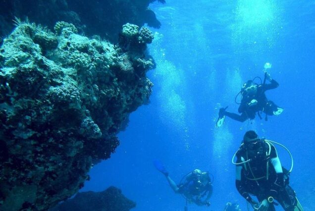 Scuba Diving Zanzibar | Book Now