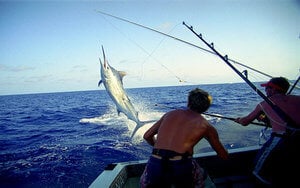 ZanzibarFishingTour
