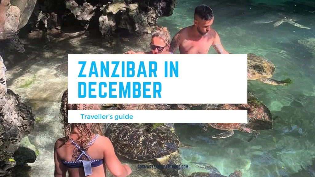 zanzibar-in-december-wheather-activites-everthing-you-need-to-know
