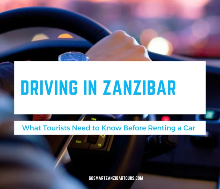 Driving in Zanzibar: What Tourists Need to Know Before Renting a Car 1 Driving in Zanzibar