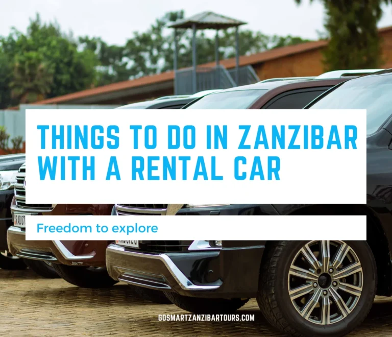 Top 10 Things to Do in Zanzibar with a Rental Car 3 Things to Do in Zanzibar with a Rental Car