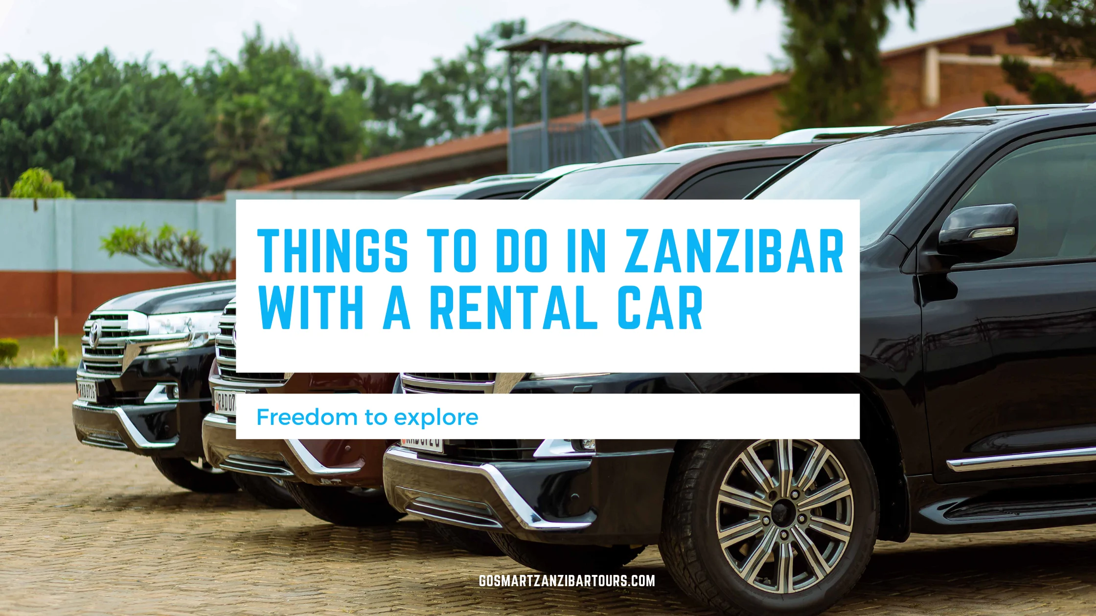 Things to Do in Zanzibar with a Rental Car