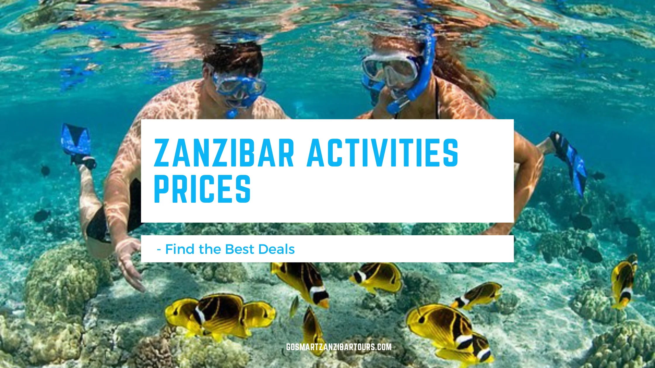 Zanzibar Activities Prices
