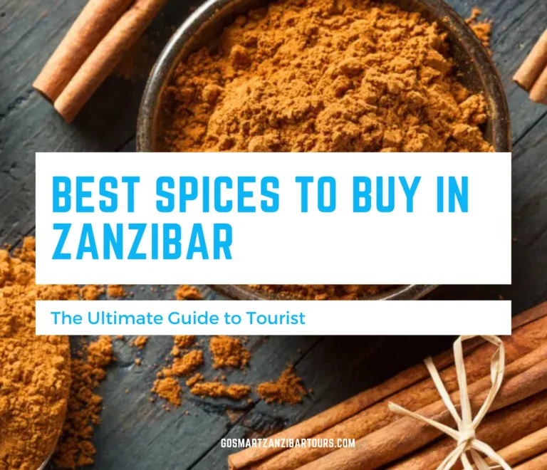 Best Spices to Buy in Zanzibar 1 Best Spices to Buy in Zanzibar