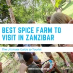Best spice farm to visit in zanzibar
