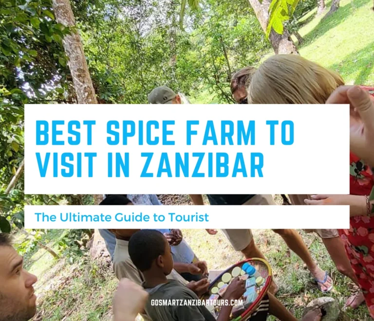 Best spice farm to visit in zanzibar 11 Best spice farm to visit in zanzibar