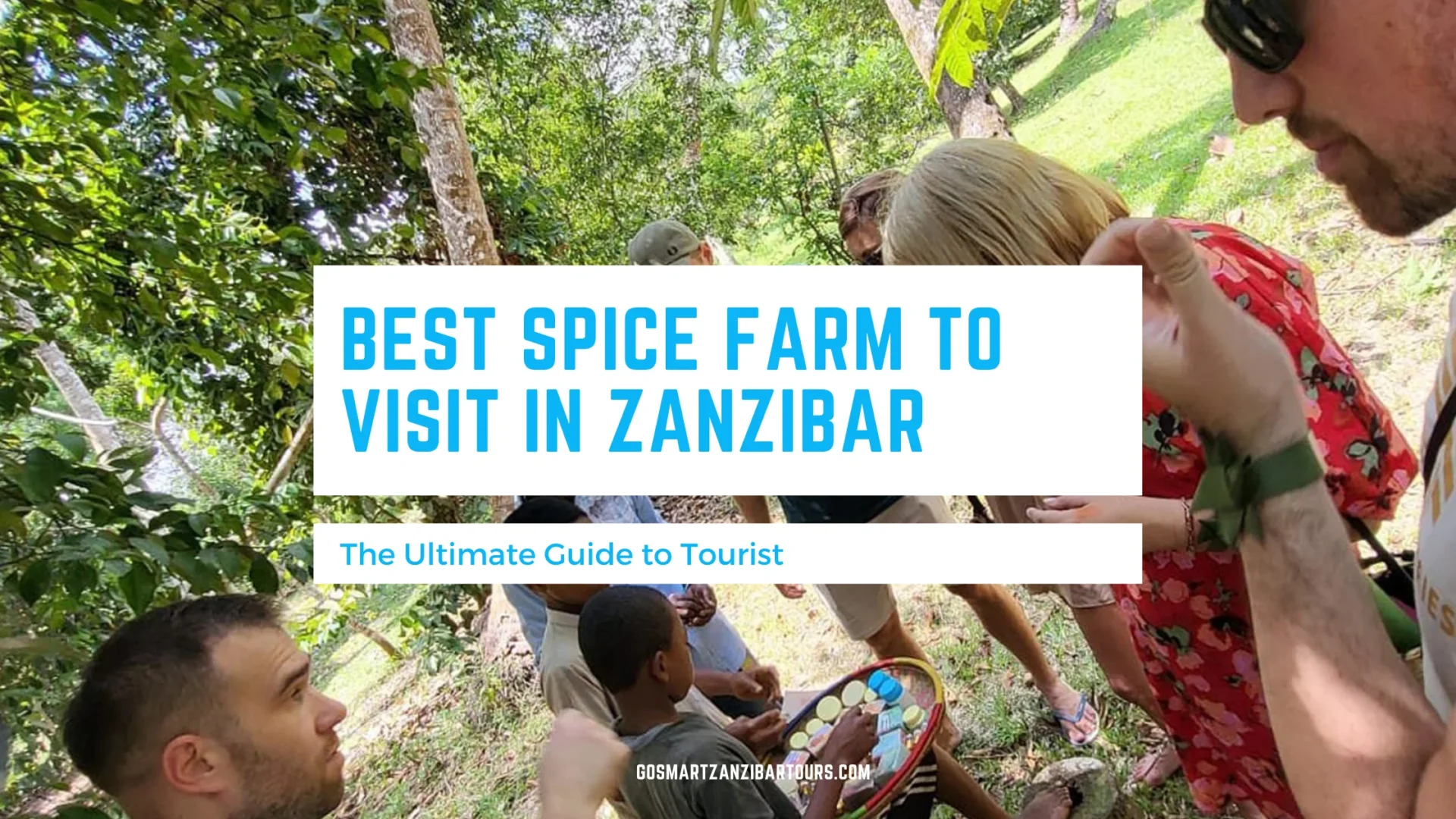 Best spice farm to visit in zanzibar scaled