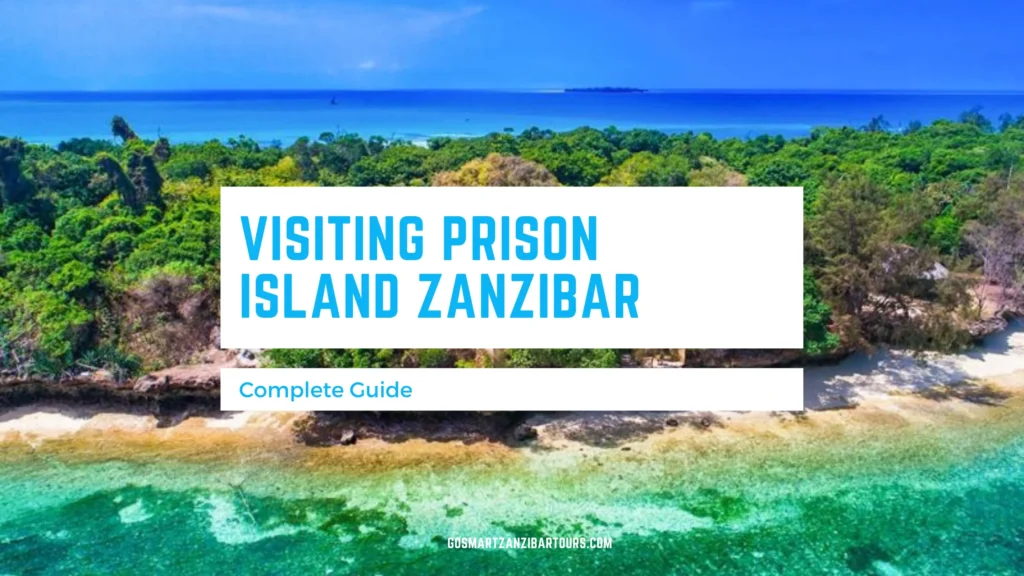 Complete Guide to Visiting Prison Island Zanzibar