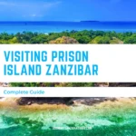Complete Guide to Visiting Prison Island Zanzibar 24 Complete Guide to Visiting Prison Island Zanzibar