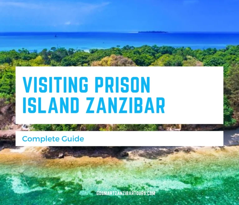 Complete Guide to Visiting Prison Island Zanzibar 10 Complete Guide to Visiting Prison Island Zanzibar