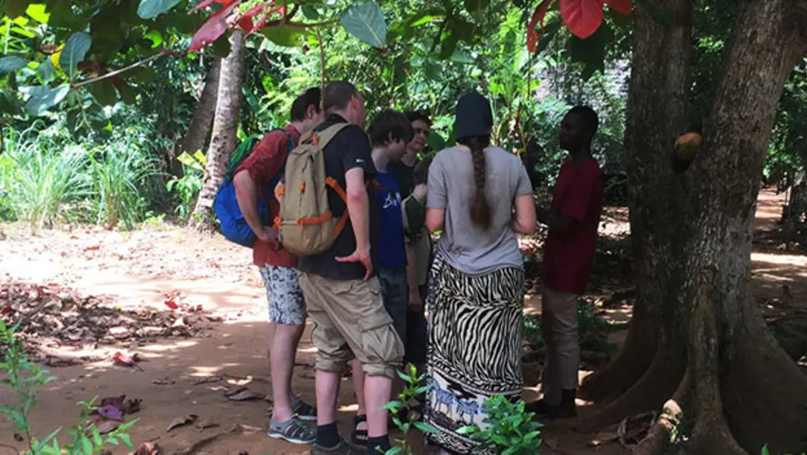 Kizimbani Spice Farm