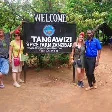 Tangawizi Spice Farm