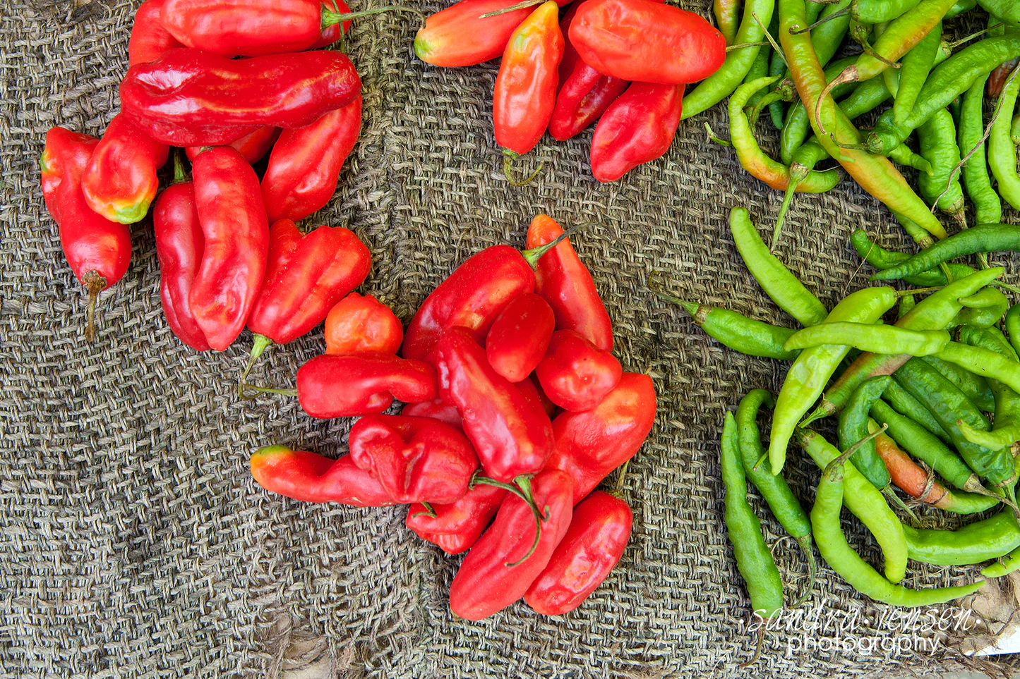 chilli