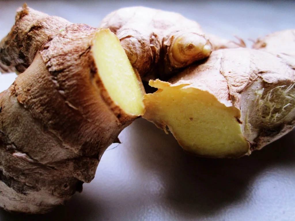 ginger 1332951 1280 1024x768 1