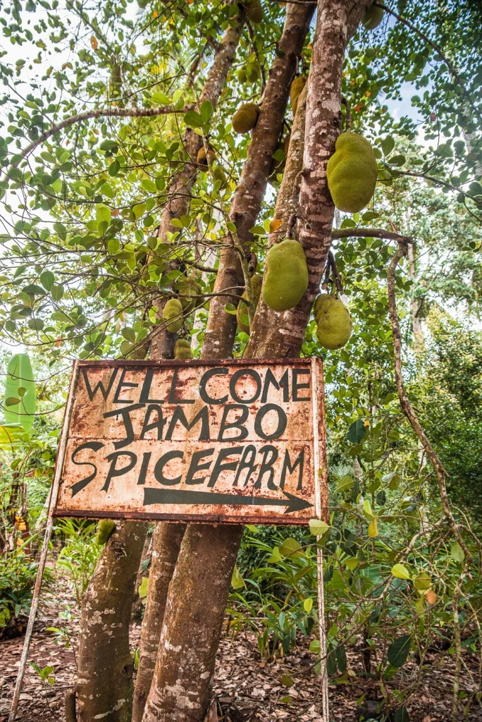 jambo spice farm