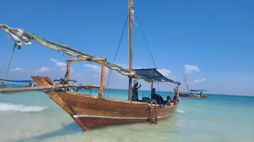 Safari Blue Zanzibar: What to Expect 2 Safari blue Zanzibar