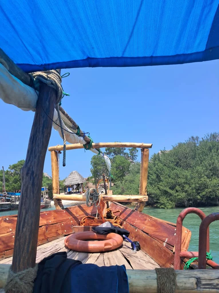 Safari blue Zanzibar