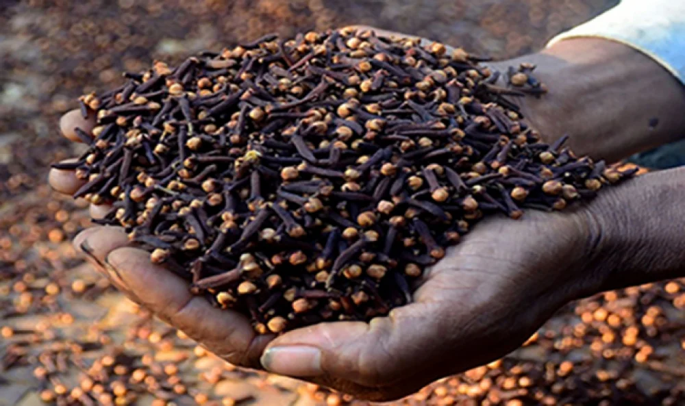 zanzibar cloves 1