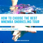 How to Choose the Best Mnemba Snorkeling Tour (Avoid Tourist Traps!) 3 How to Choose the Best Mnemba Snorkeling Tour 1