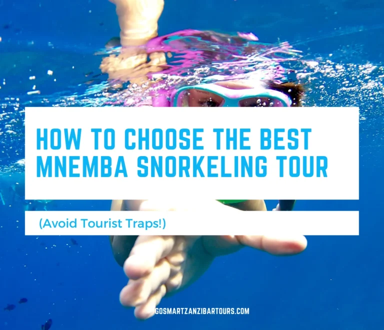 How to Choose the Best Mnemba Snorkeling Tour (Avoid Tourist Traps!) 3 How to Choose the Best Mnemba Snorkeling Tour 1