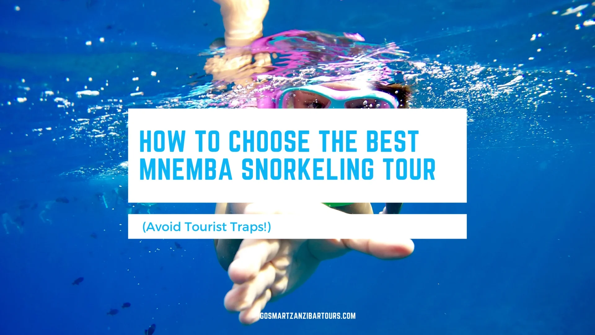 How to Choose the Best Mnemba Snorkeling Tour (Avoid Tourist Traps!) 1 How to Choose the Best Mnemba Snorkeling Tour 1 scaled