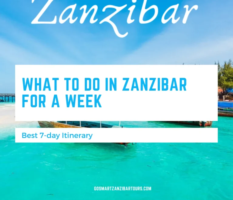 What to Do in Zanzibar for 7 Days