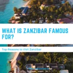 What Is Zanzibar Famous For