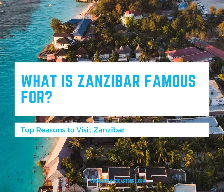 What Is Zanzibar Famous For