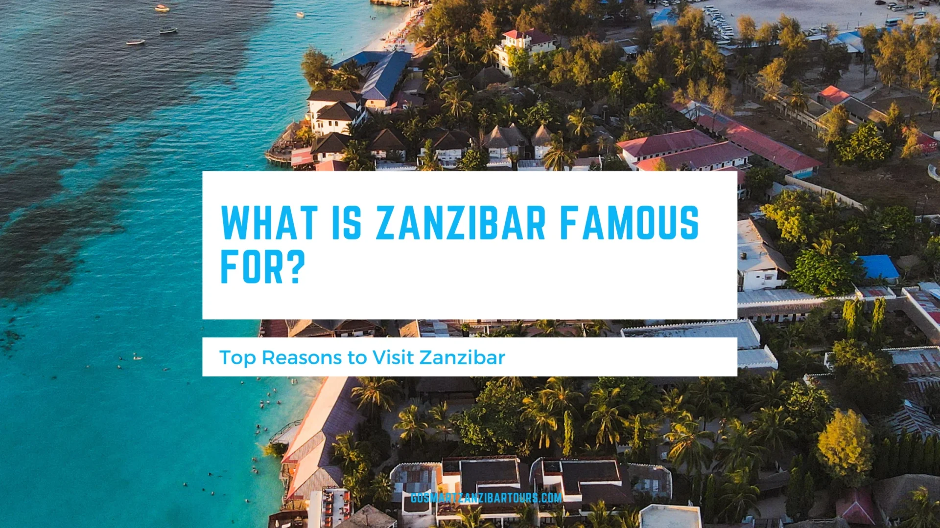 What Is Zanzibar Famous For scaled
