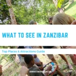 What to See in Zanzibar