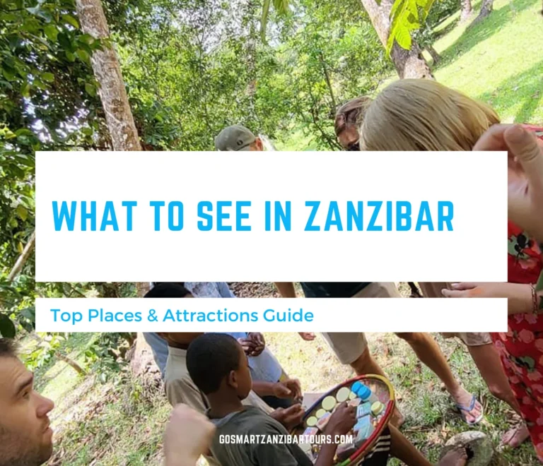 What to See in Zanzibar