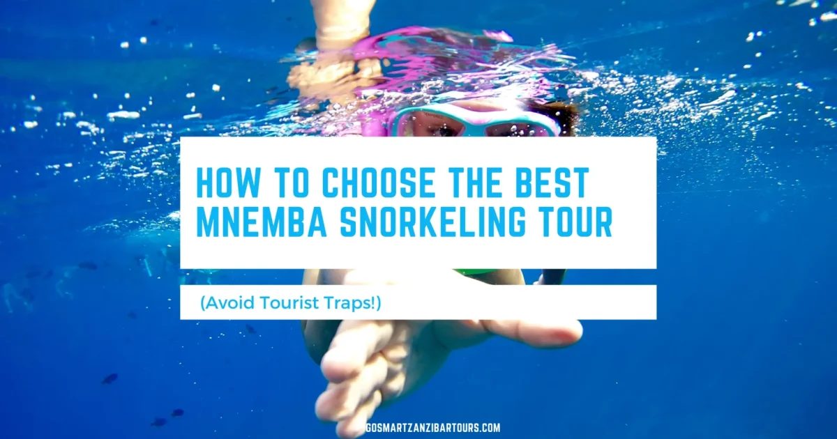How to Choose the Best Mnemba Snorkeling Tour (1)