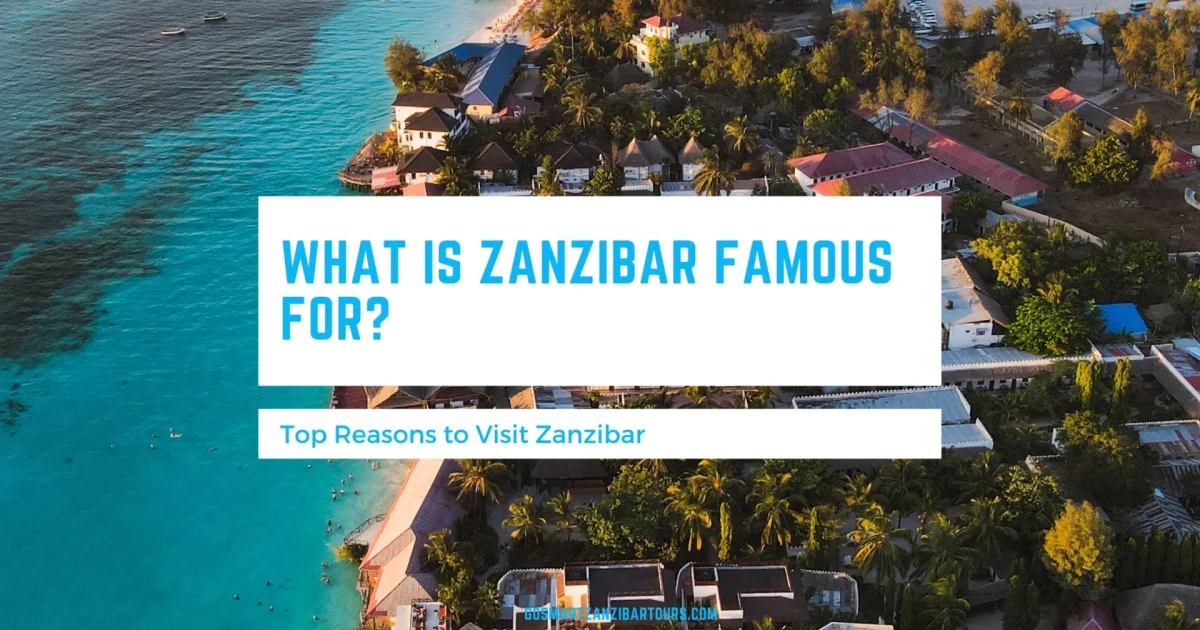 What Is Zanzibar Famous For