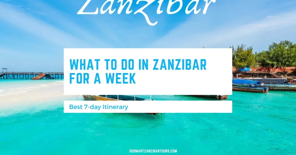 What to Do in Zanzibar for 7 Days