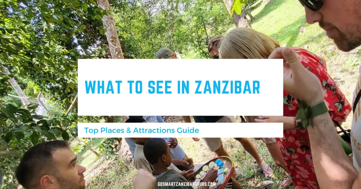 What to See in Zanzibar